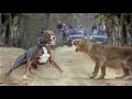 Lion Vs Pitbull Fight Video - Pitbull vs Lion Comparison - PITDOG