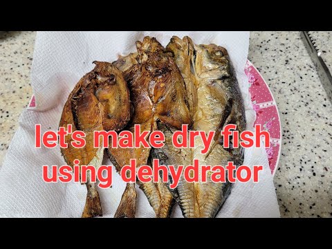 Making Dried Fish using dehydrator