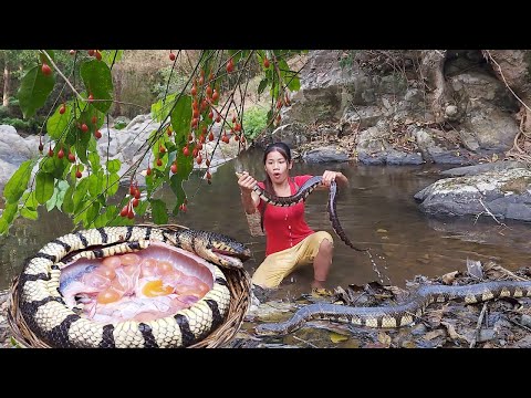 Wow Big Snake Catching And Cooking Snack Soup For Survival Food In Forest
