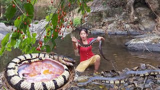 Wow Big Snake! Catching and Cooking Snack Soup for survival food in forest