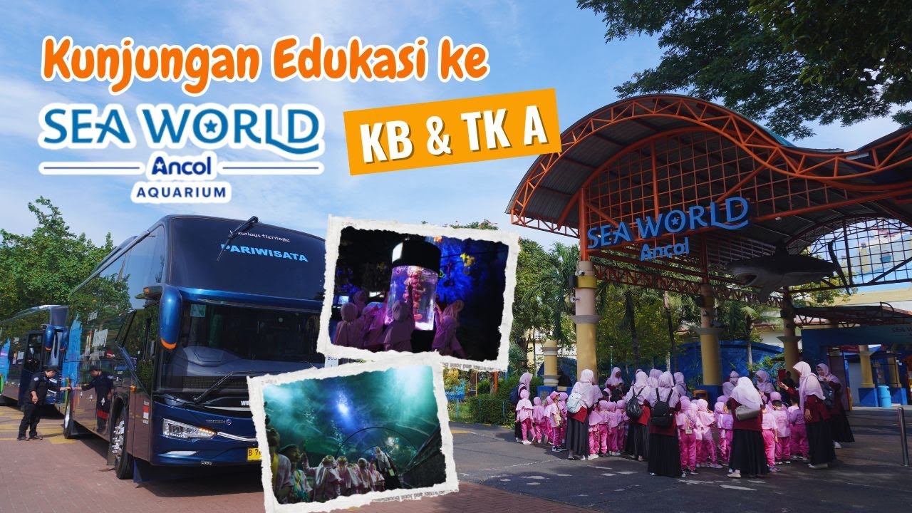 KUNJED SEAWORLD ANCOL 2025 KB DAN TK A | KB-TK ISLAM NUR HIKMAH