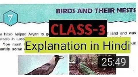 Chapter-7 Birds and Their Nest  Question/Answer Class -3rd DAV School by GOOD NICE