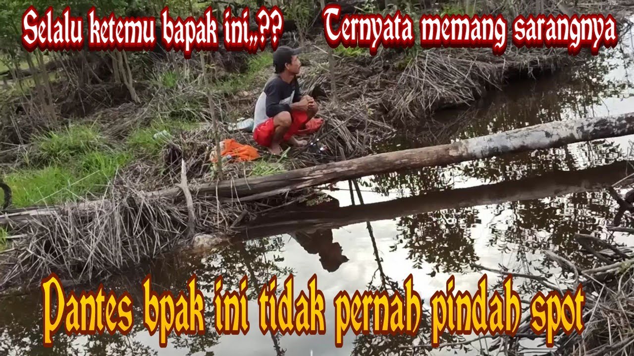 CASTING IKAN KERANDANG,TOMAN BUNGA#eps097 
