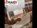 Best Manual Feeding Hopper for Poultry Farms in Africa No Electricity Needed/Semi-Auto Hopper Feeder