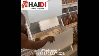 Best Manual Feeding Hopper for Poultry Farms in Africa No Electricity Needed/Semi-Auto Hopper Feeder