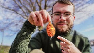 Lov kaprů na method feeder. Tipy a triky jak být úspěšný, klipování a nástrahy.