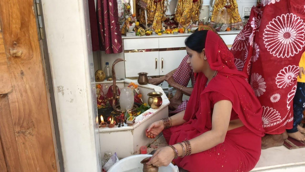 Daily life vlog || ghar ka kaam or  ek pyara surprise. || Maha Shivaratri 