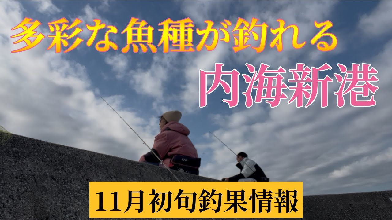 11月初旬の内海新港で釣り🎣2025.11.08