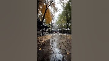 سورة القصص من  آية 41 إلى آية 44 بصوت الشيخ ياسر الدوسري♥♥