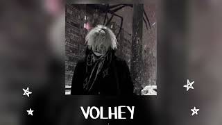 VOLHEY-GODDAMN