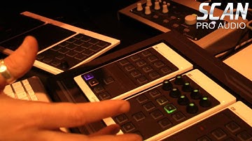 Steinberg CMC Series Preview