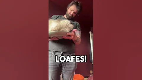 The Intrusive Thoughts Won 😂