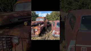 Walking Marks Collection. Classic Car Projects FOR SALE. #classiccars #barnfind #automobile