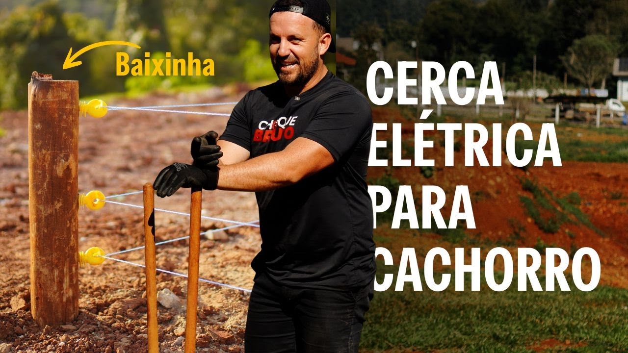 Cerca elétrica de 3 fios para cachorro, galinhas e gansos (simples e funciona!)