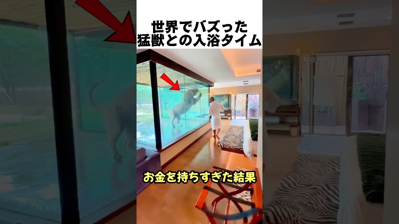 世界でバズった猛獣との入浴タイム
