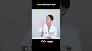 유산균이 살아남는 비밀!! #이학민원장 #더블유케어데일리멀티팩 #유방암영양제