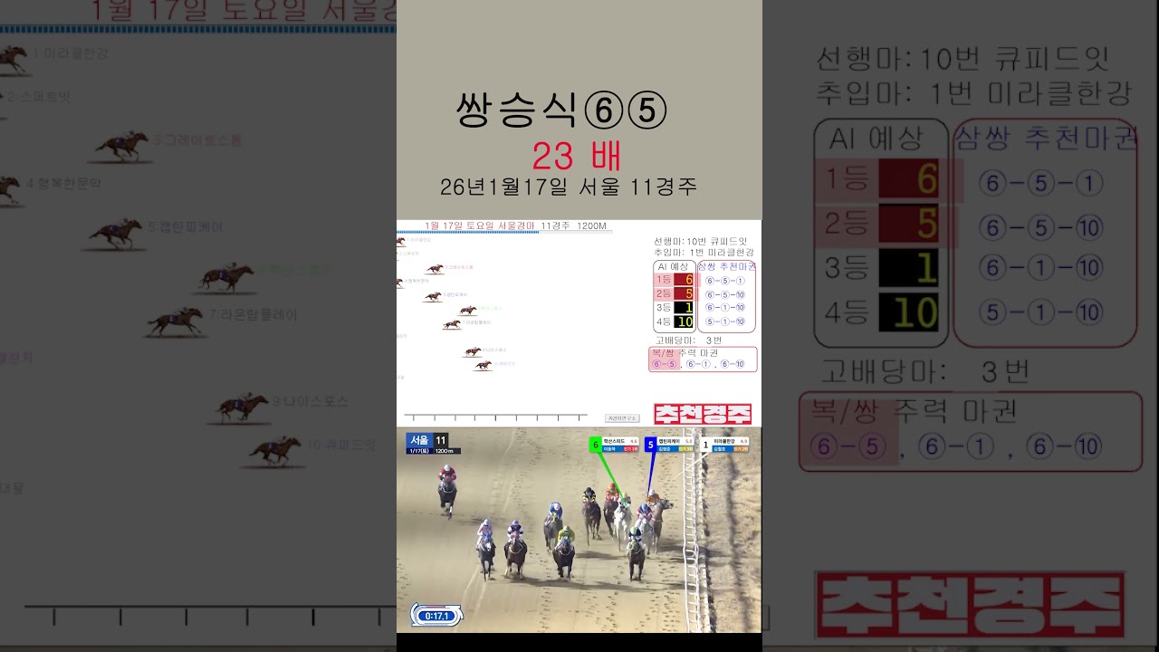 쌍승식 23배 승부경주 적중 1월17일 서울경마 11경주#ai경마연구소