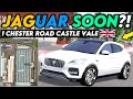 JAGUAR IS COMING IN THE NEXT GREENVILLE UPDATE?!