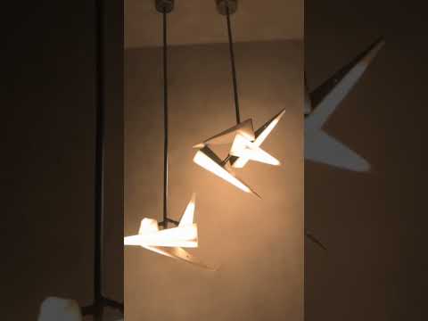 Led Decorative Lights