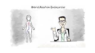 Hybrid AFib Procedure Part-2 | Endocardial Ablation | The Heart Rhythm Institute | Phoenix, AZ