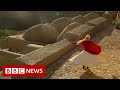 New video by BBC News on YouTube