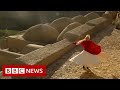 Whirling dancer's escape from Afghanistan - BBC News