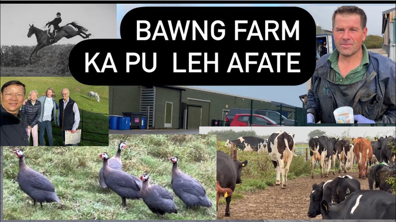 SAPHO BAWNG VULH HNUTE AN SAWR DAN.KAN TIHPUI VE NGEI ANIH KHA.Slow in an lo video sia Speed thung.