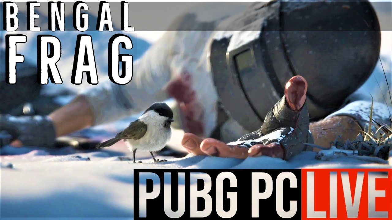 AKM BATTLESTAT | MOONLIGHT MODE | PP BIZON | PUBG PC LIVE ACTION | PLAYING SQUADS TO IMPROVE SKILL