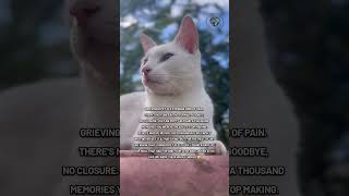 Only Cat lovers can understand this feeling 🥺🐈..#CatFacts #CatBehavior #CatLife #CatLovers