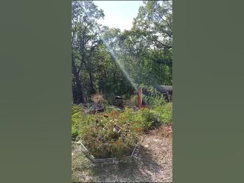 🌏 Дача. Туапсе 08.09.24 (3) 👍 - YouTube
