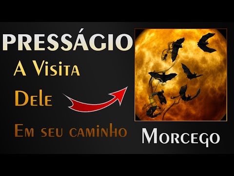 🏡 Morcego - Qual a Mensagem que ele veio nos transmitir?