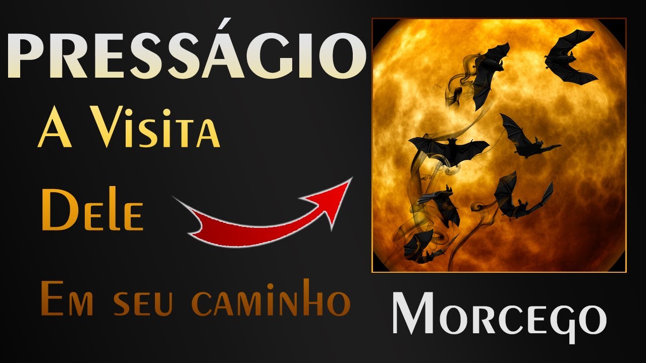 🏡 Morcego - Qual a Mensagem que ele veio nos transmitir?