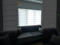 zebra Blinds