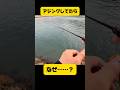 アジングしてたら…#shorts #釣り