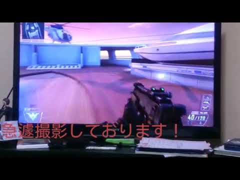 チート感染(bo2)