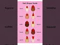 Nail Shape types | Nail shape guide #nails #nail #nailshape #nailpolish #shorts #viralshorts