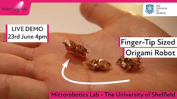 Finger-Tip Sized Origami Robot | Robot Lab Live