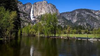 Merced River, Yosemite 🌲💧 | Relaxing River Sounds & Ambient Music | 1 Hour
