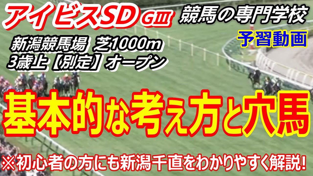 アイビスサマーダッシュ2023】予習動画 初心者の方にも新潟千直を