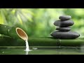 Música Relajante Con Los Sonidos De La Naturaleza Fuente De Agua De Bambú Música Relajante Con Los Sonidos De La Naturaleza Fuente De Agua De Bambú