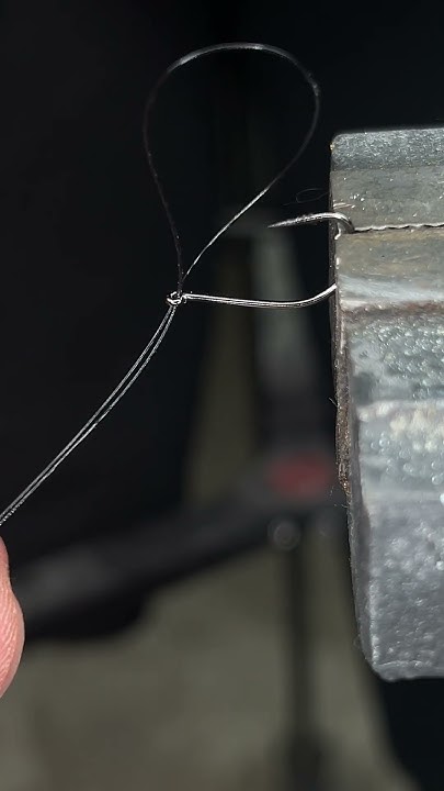 Обязательно запомни эту хитрость, рыбаки с дуная дали дельные советы ...