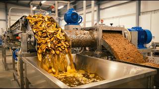 No One Shows What Happens to Banana Peels at Scale | Zero Cycle Process