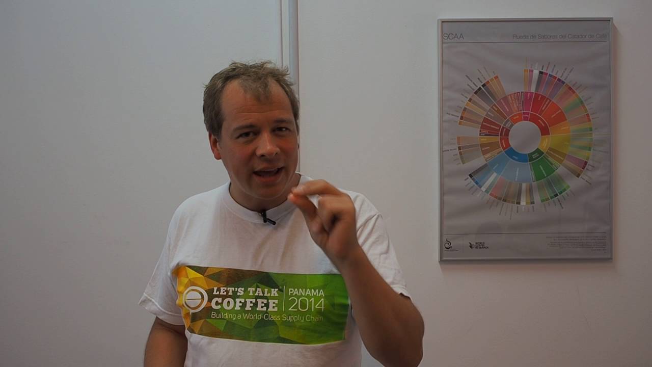 ¿Cómo tomar o servir el café ❓ ¿Café con azúcar o café sin azúcar ❓ ☕️