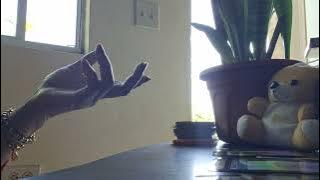 Omg ❤️You Will Be First Millionaire In Your Family Spirit Wants to Keep Going 🥰💞