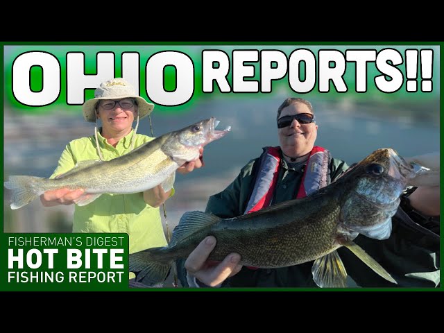 Lake Erie Walleye Fishing Reports 