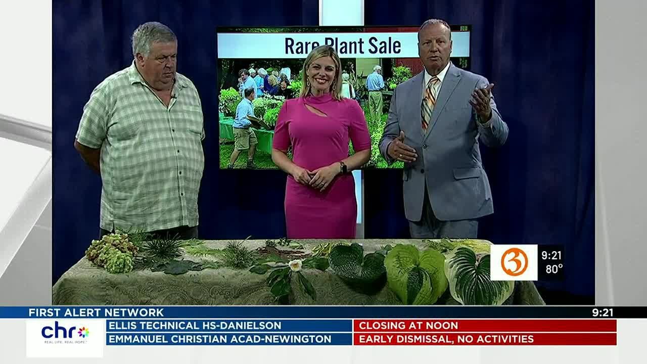 Rare Plant Sale YouTube