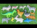 Menemukan Mainan Hewan, Sapi, Kerbau, Gajah, Domba, Buaya, Ayam, Bebek, Ikan