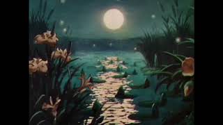 make a wish intro