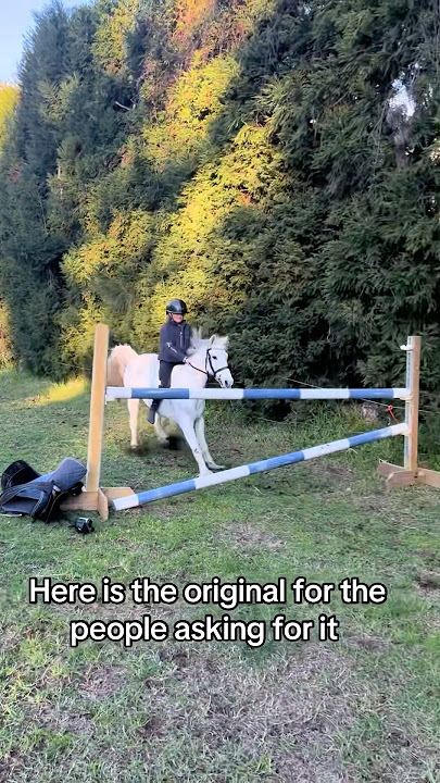 Download lagu That so cute🥰ctto:anabelle_eq #horse #equestrian #horseriding #viralshorts #fyp #foryou #amazing