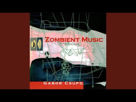 Gabor Csupo — Government